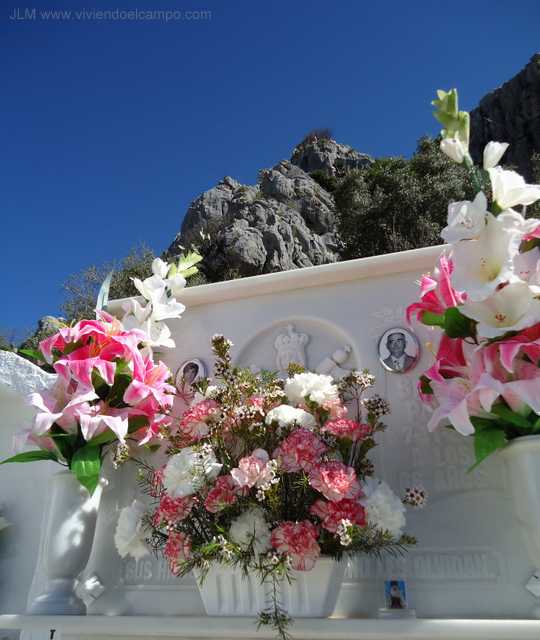 flores-cementerio