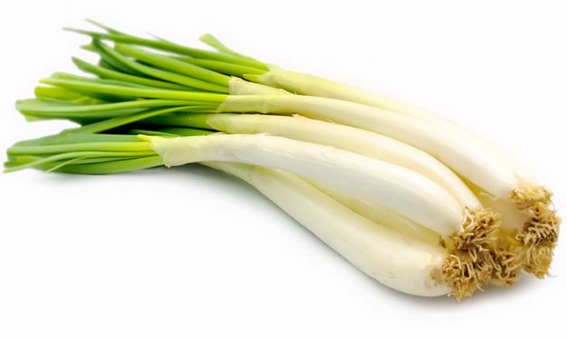 Tiempo de invierno, tiempo de calçots